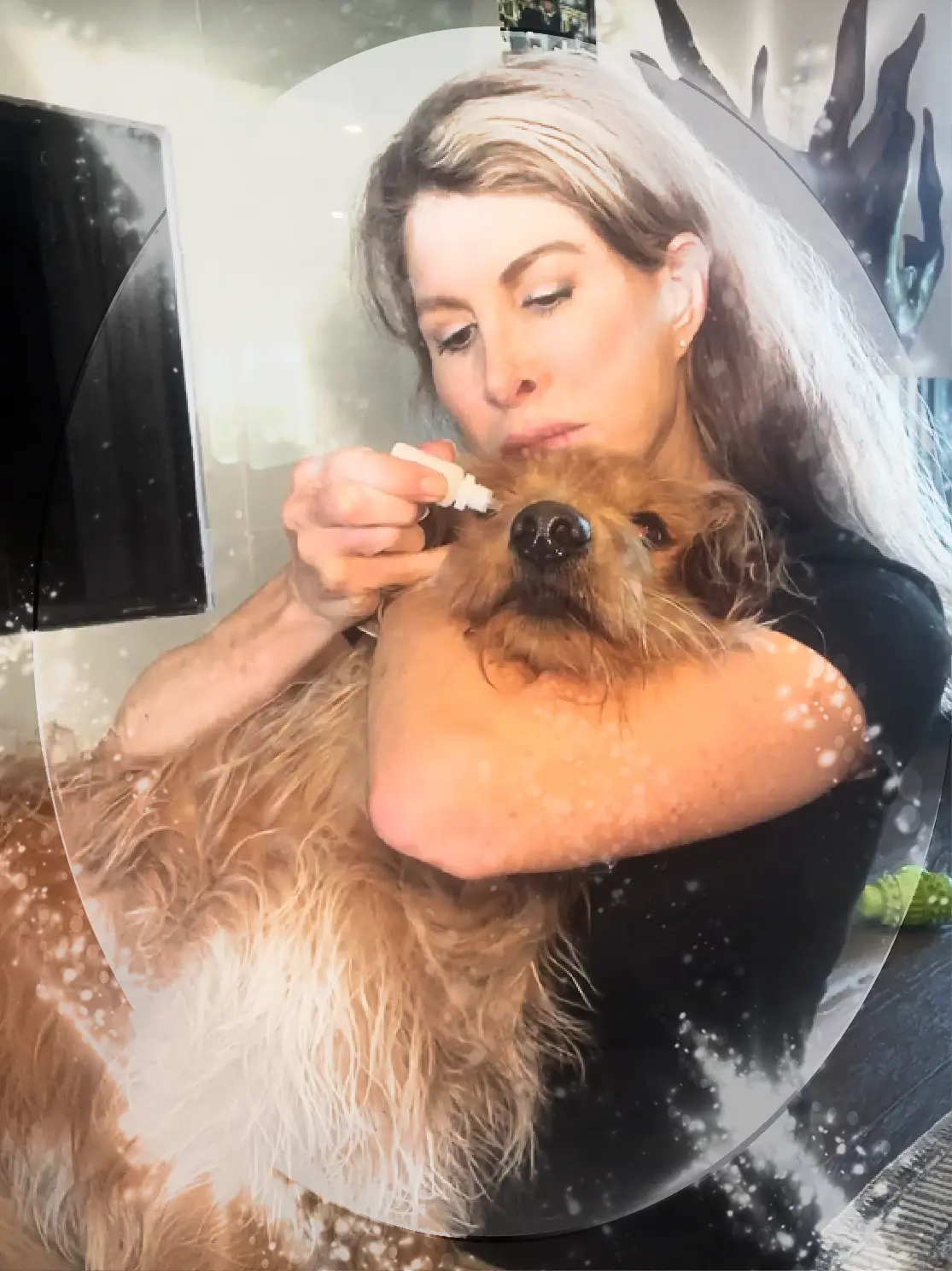 files/A_uniquely_crafted_formula_specifically_designed_for_dogs_to_meet_all_the_criteria_for_proper_dog_eye_care-19.webp