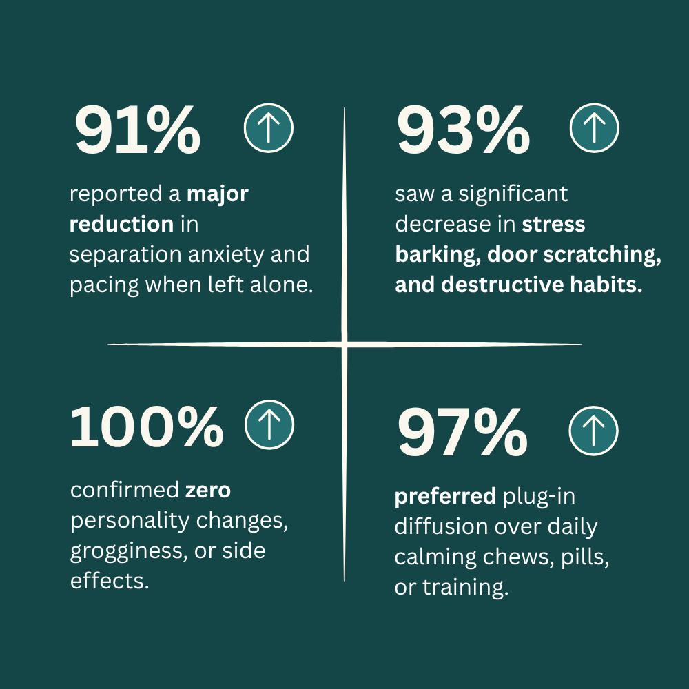 NeuroPet Dog Anxiety-Relief System
